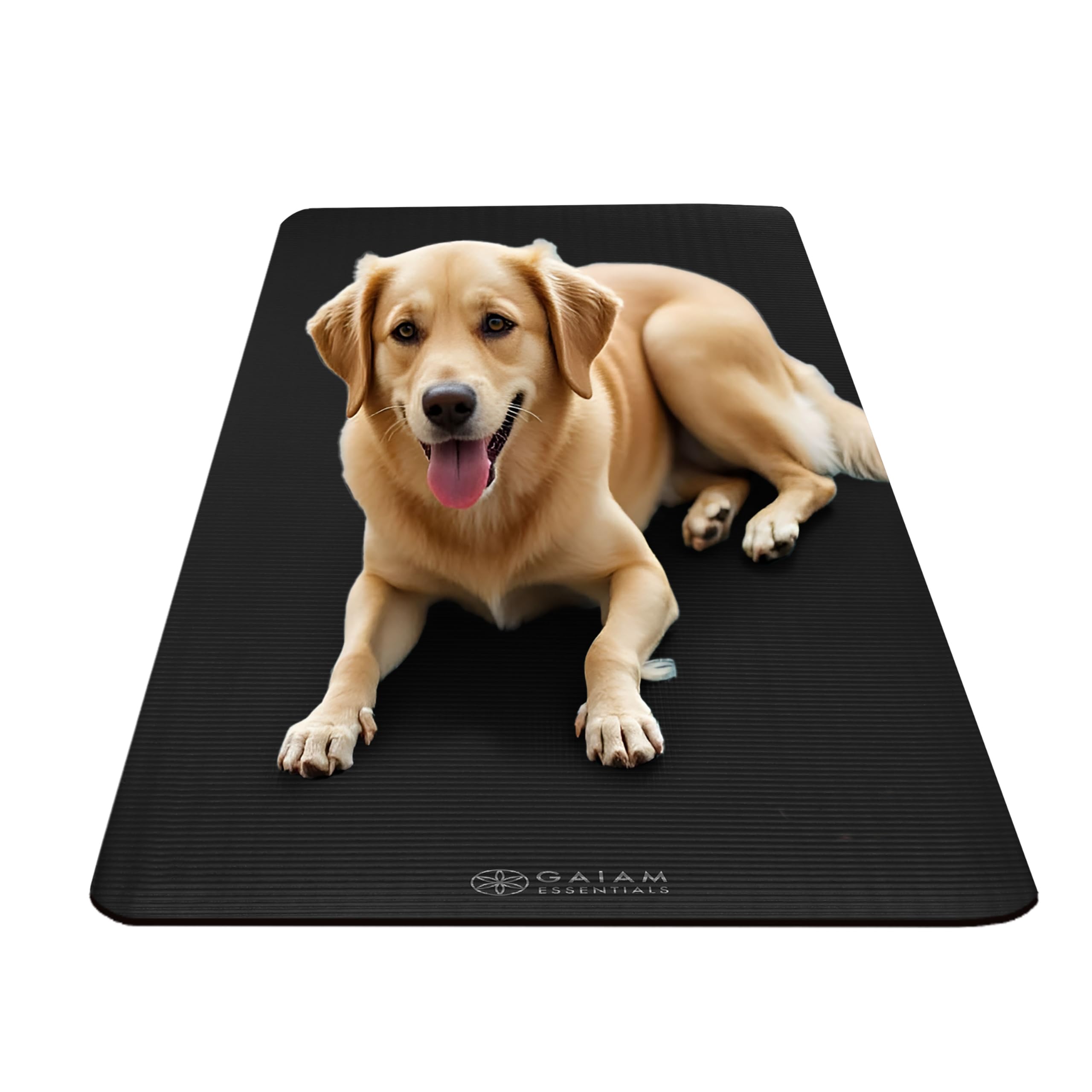 gaiam-essentials-tapis-de-yoga-extra-pais-182-9-x-61-cm-12-mm-noir-sangle image 7
