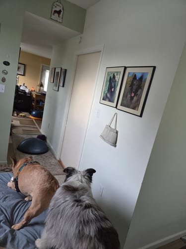 Adopté par toute la famille