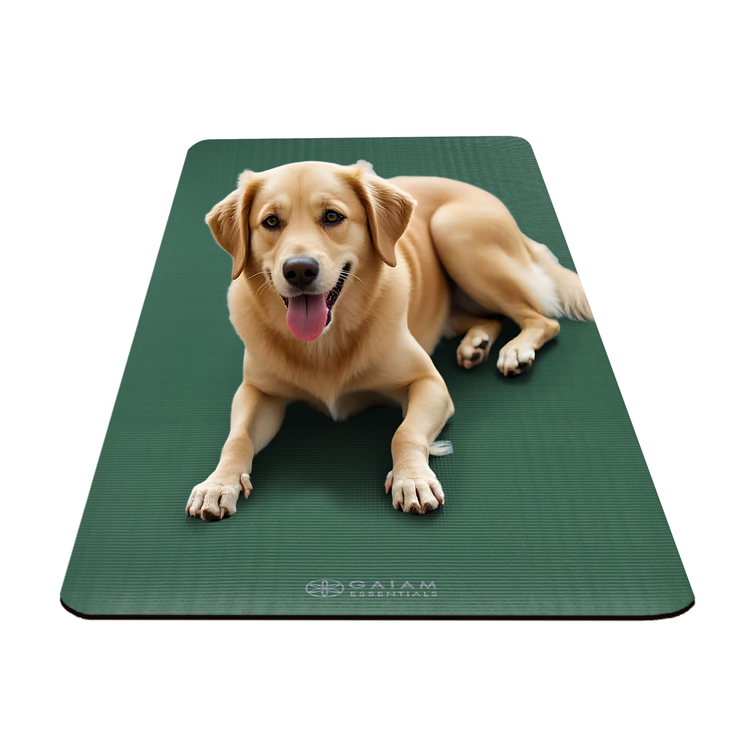 gaiam-essentials-tapis-de-yoga-pais-183-x-61-cm-avec-sangle image 7